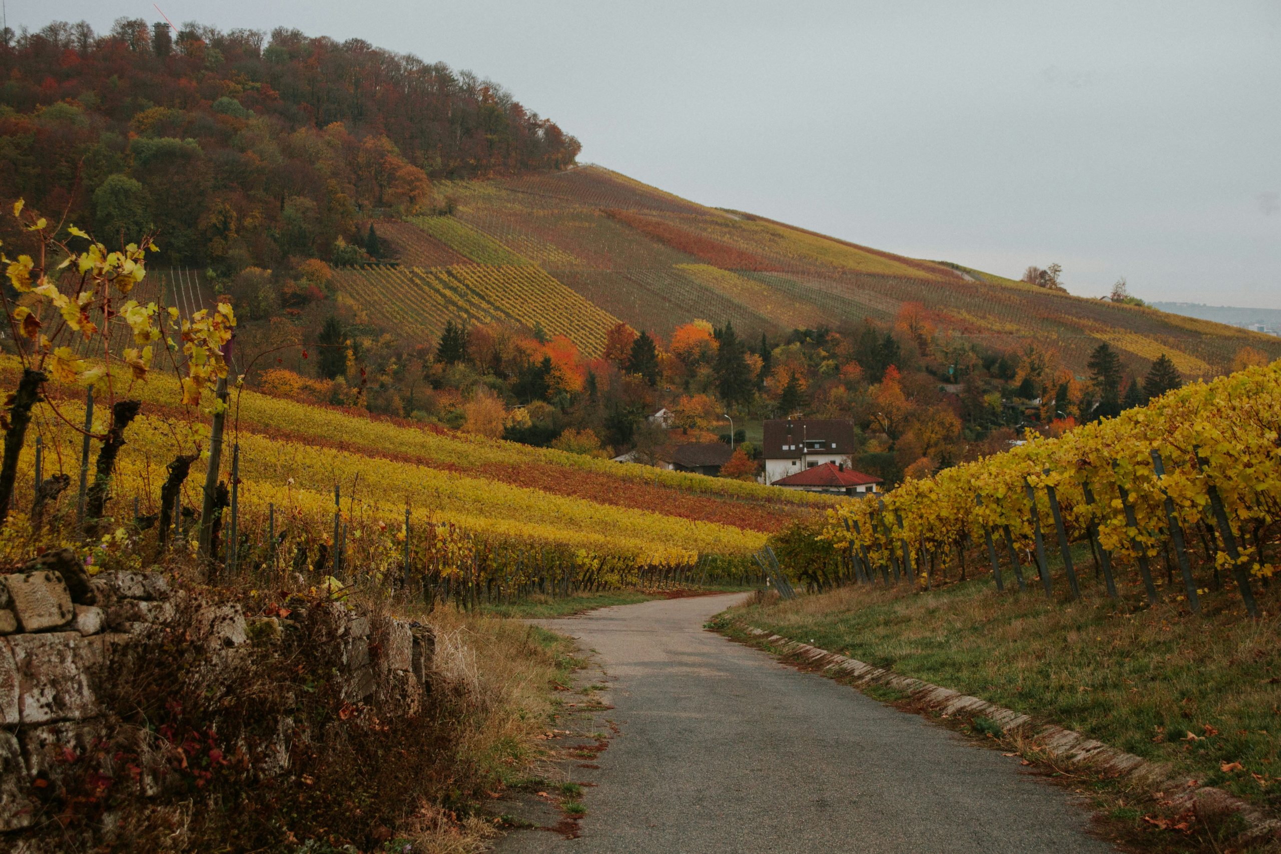 fall countryside with river and hills